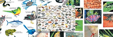 QPA Posters